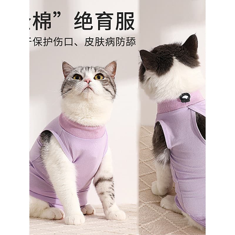 Roupas de esterilização para gatos Roupas de esterilização para gatos femininos Gatinho parar de leite Roupas de desmame