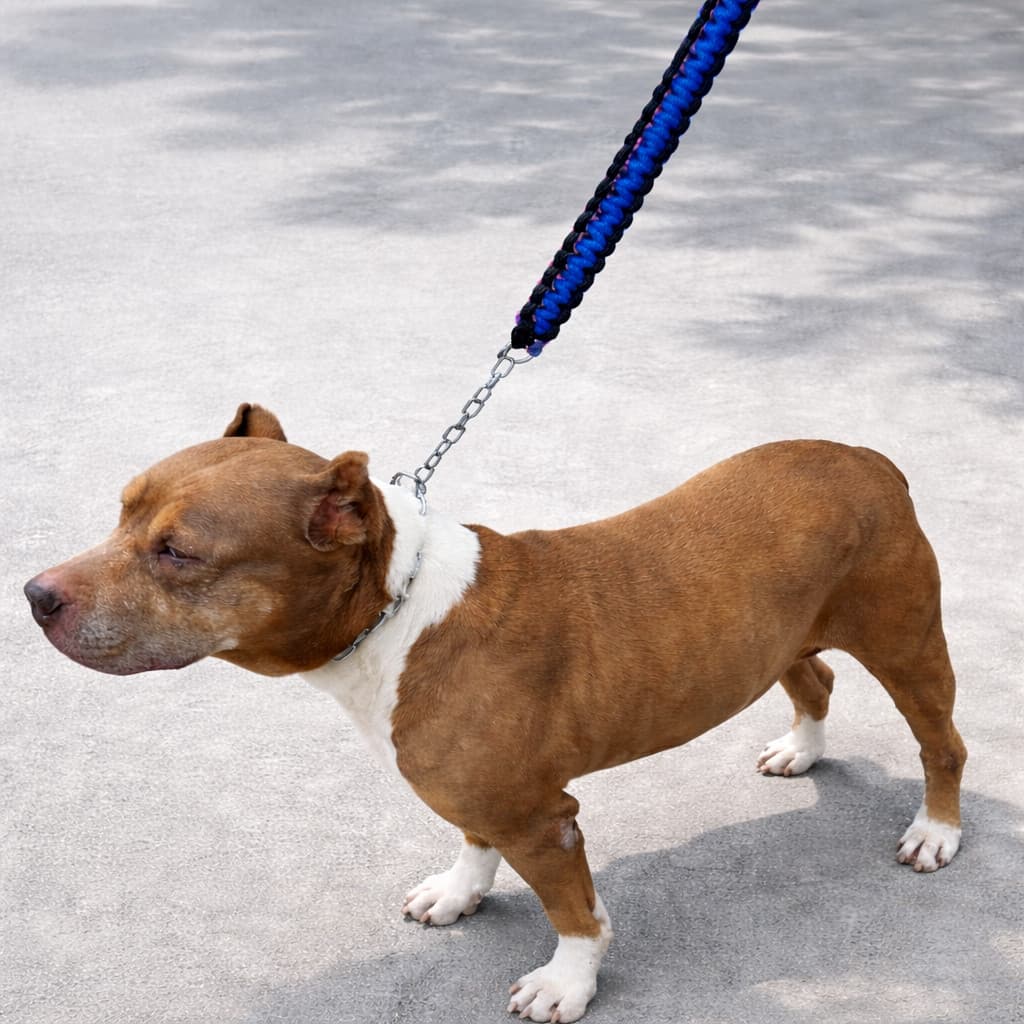Guia + Coleira Enforcadora em Corrente Reforçada Ajustável ao pescoço para Cachorros Fortes - Pit Bull