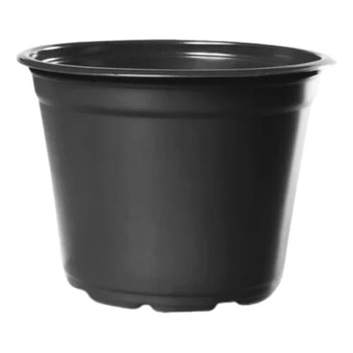Kit 500 Vasos Para Flores E Plantas Plástico Nutriplan Np14 Preto Liso
