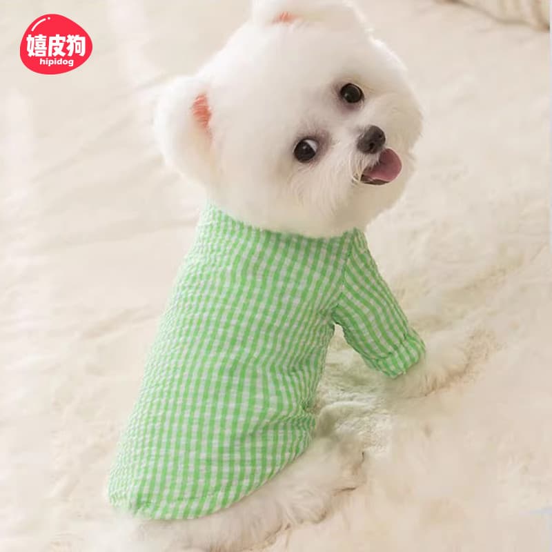 Roupas para cães Roupas de duas pernas Roupas fofas para animais de estimação Outono Inverno Roupas quentes Yorkshire Sc