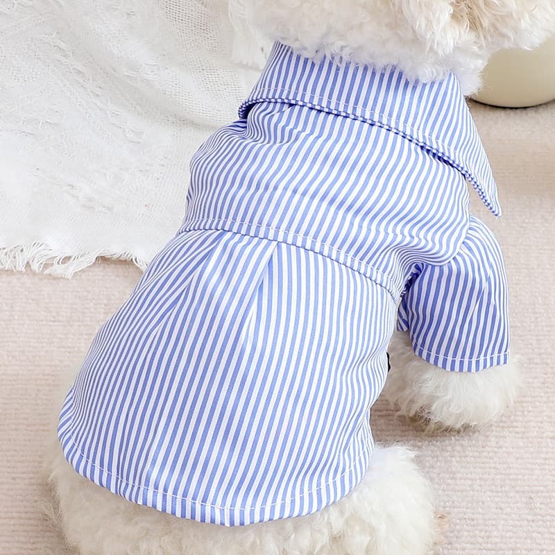 Roupas para Cães e Gatos, Camisa Fina de Primavera e Verão, Casual e Respirável, Roupas para Animais de Estimação Teddy