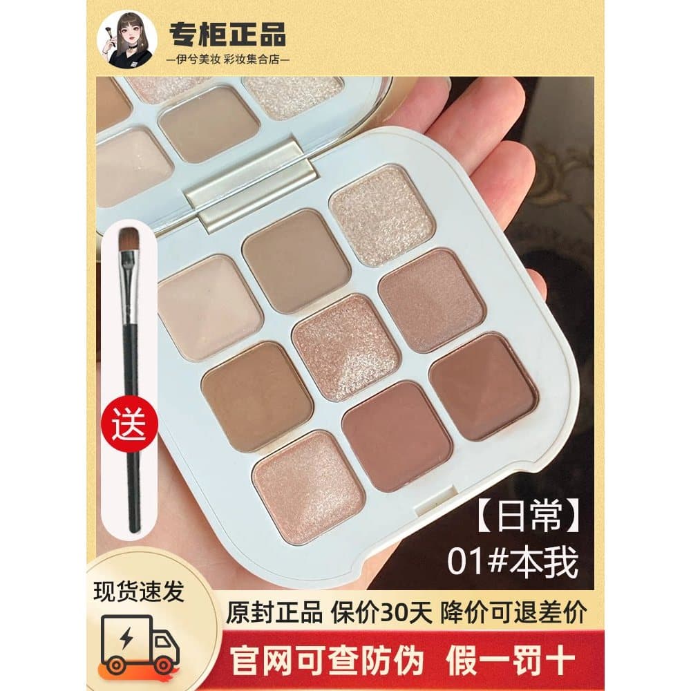 Diário perfeito série de pedra áspera Ben I paleta de sombras de nove cores areias femininas diariamente cor terra fosco