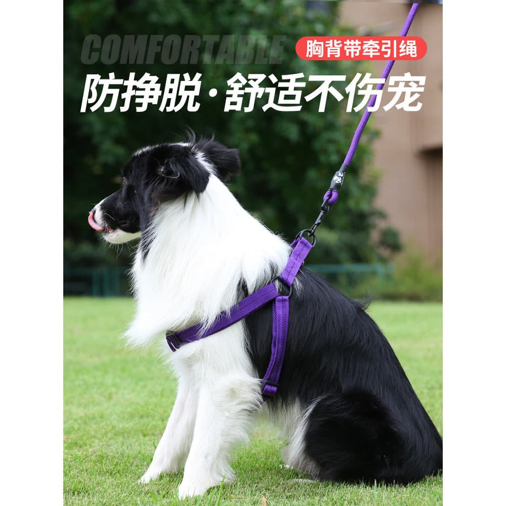 Coleira para cães, colete estilo Golden Retriever, retrátil, suprimentos para cães pequenos, coleira grande para cães, c