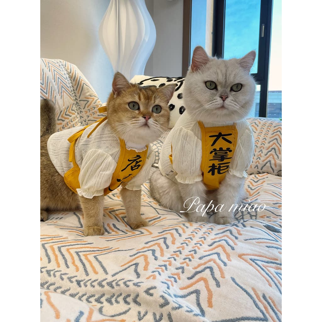 Avental de trabalho para animais de estimação gato cão verão estilo fino Anti-fiapos roupas bonito engraçado Meow Buck b
