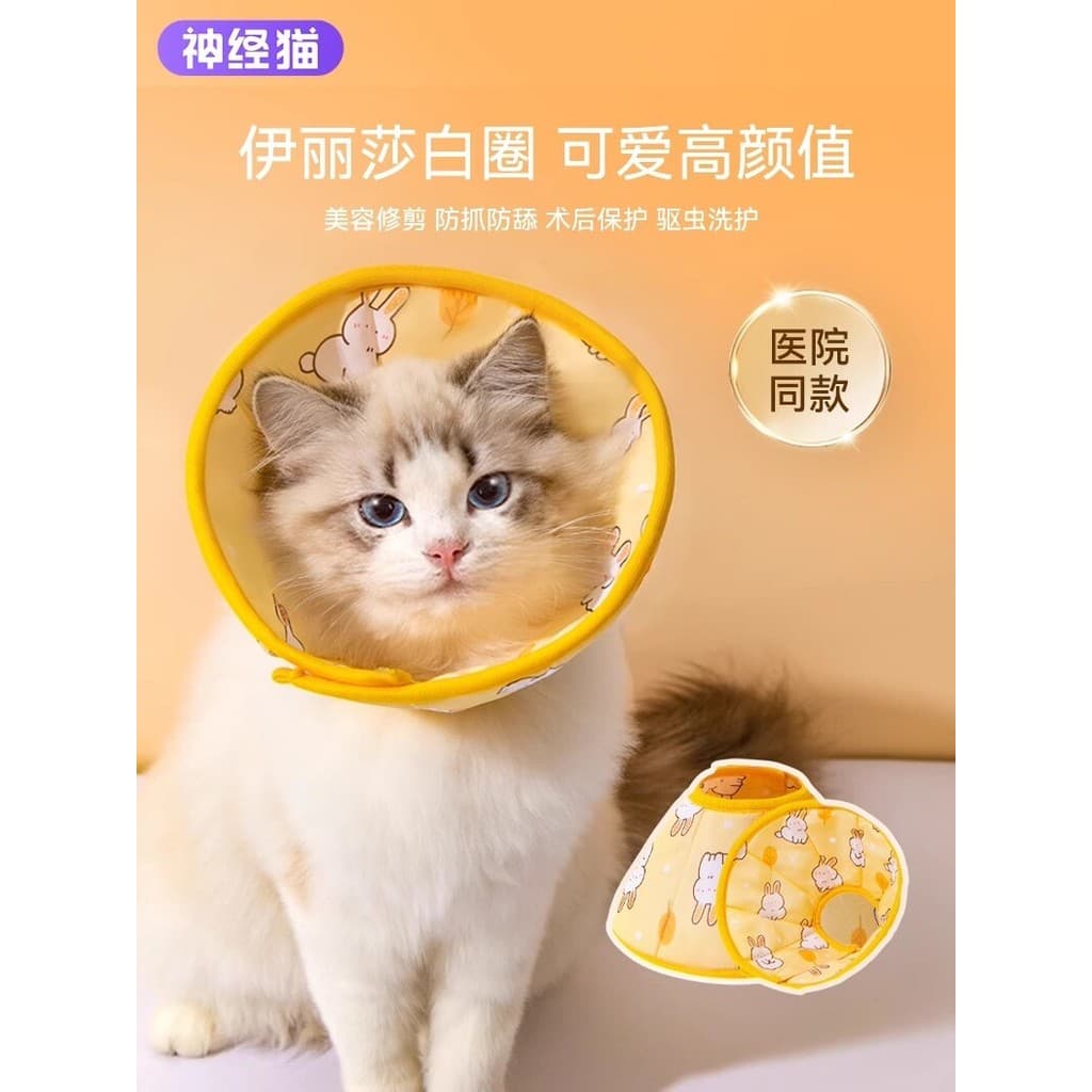 Coleira elizabeth para esterilização de gatos, coleira Anti-lamber para gatos, à prova d'água, para animais de estimação