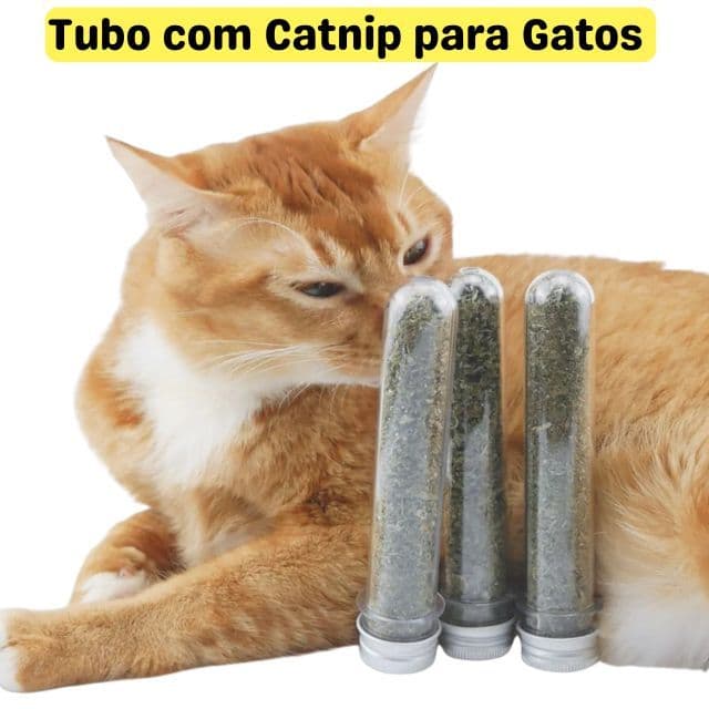 Brinquedo Tubo com Catnip para Gatos