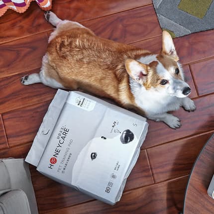 Boa vida Natural suprimentos para cães almofada absorvente fraldas para animais de estimação desodorante fraldas de pelú