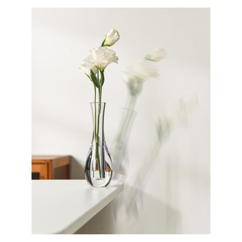 Instantâneo / Vaso Transparente Minimal / Vaso Fresco Sensível à Água Superior
