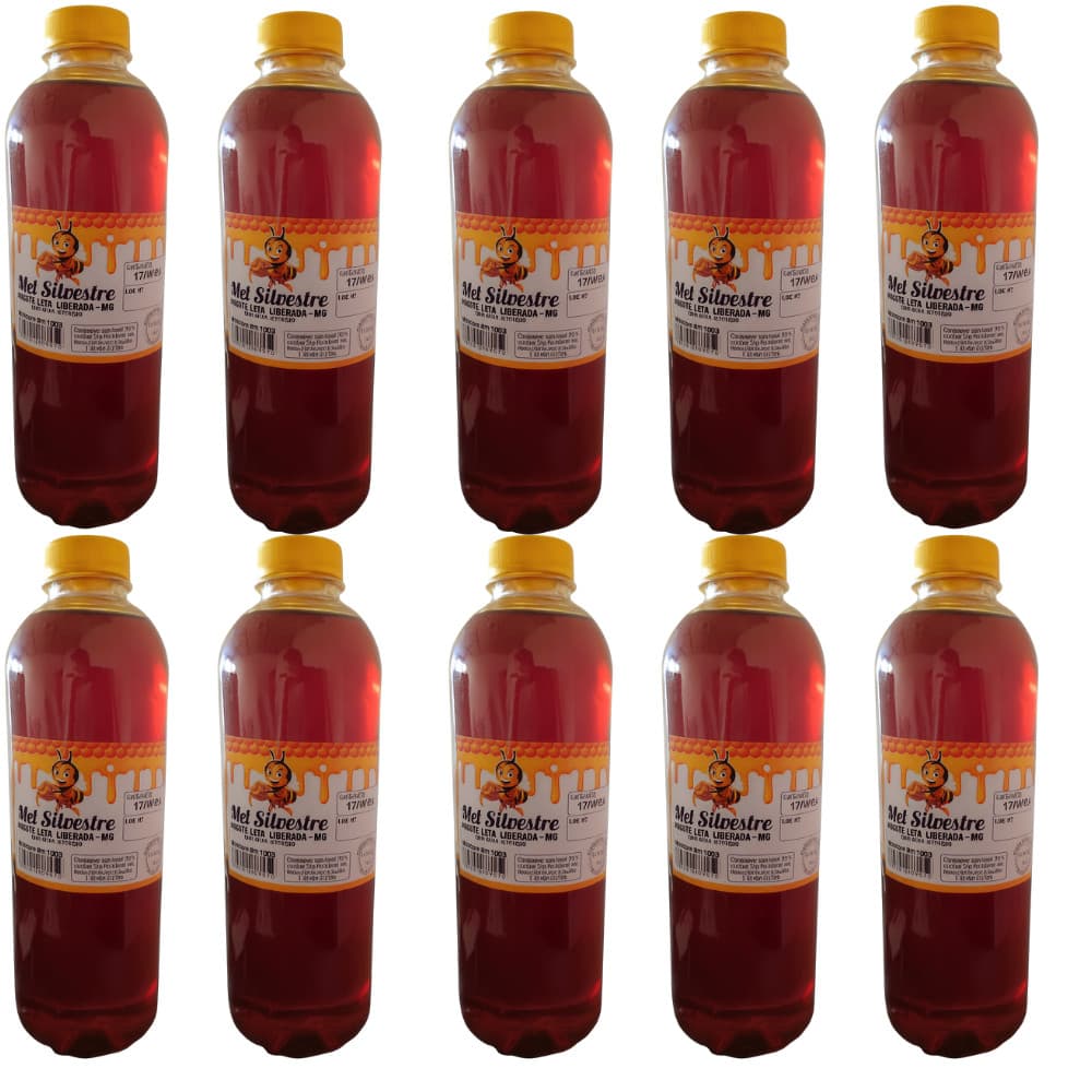Promoção Relâmpago Kit 10 Unidades Mel Garrafa Abelha Silvestre   1,3kg Envio Imediato