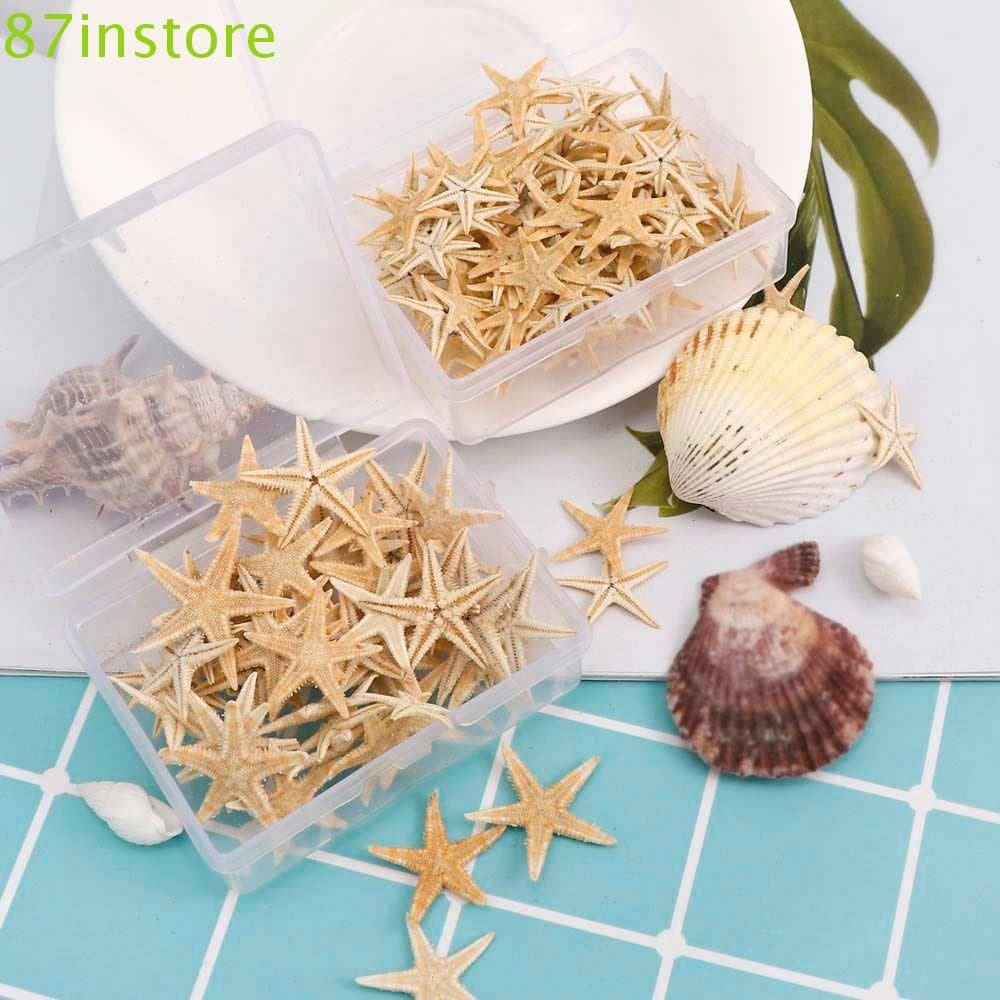 INSTORE1 Ornamentos Estrela Do Mar Conchas De Em Caixa Para Aquáticas De Pet Shell Resina Epóxi Aquário
