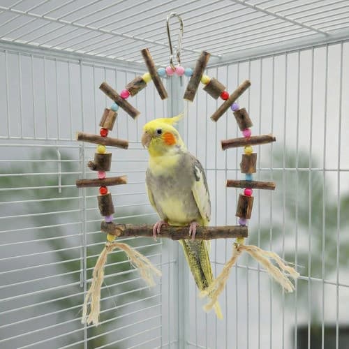 Poleiro Balanço Para Pássaros Calopsita Agapornis Ring Neck Madeira Natural Com Sisal Tamanho M e G