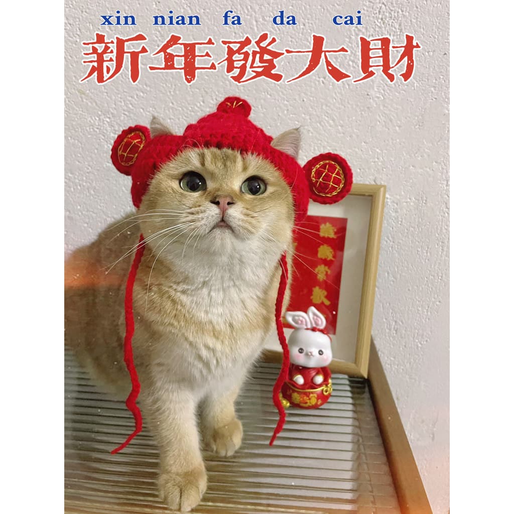 Deus de boas-vindas gatos cães chapéus de ano novo gatinhos chapelaria britânico curto chapelaria Pet decorações de lã d