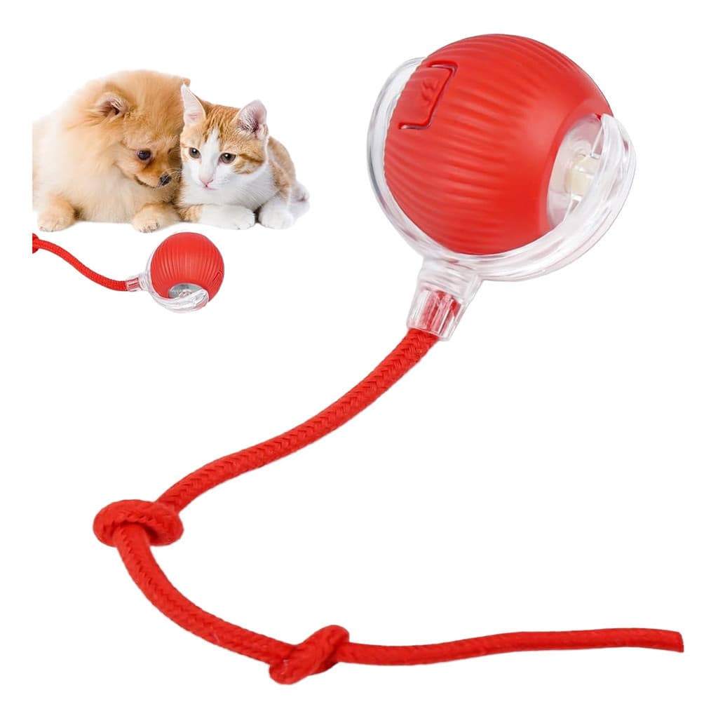 Bola Inteligente Giratória Gato Cachorro Brinquedo Pet USB
