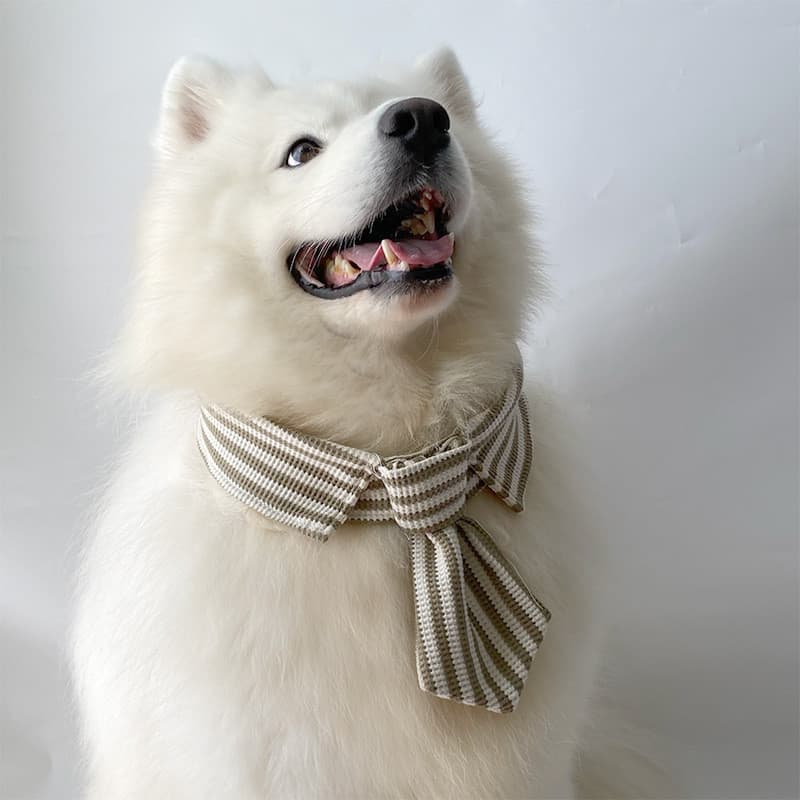 Cão De Estimação Marrom Listrado Gravata Borboleta Samoyed Labrador Cães Grandes , Médios E Pequenos Cachecol Decoração