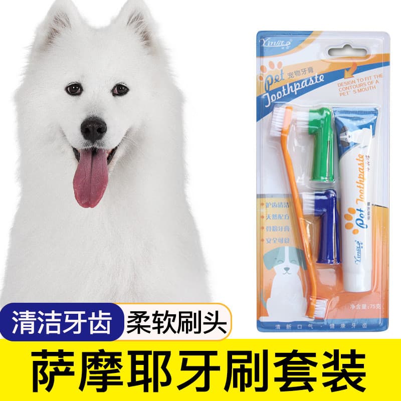 Samoyed escova de dentes especial para cães, conjunto de pasta de dente para animais de estimação, suprimentos de limpez