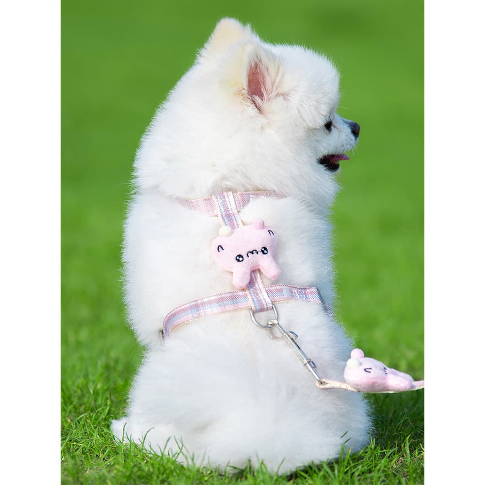 Coleira para cachorro pequeno, peito traseiro, Bichon, Teddy, pomerânia, coleira para caminhada, filhote de cachorro, co