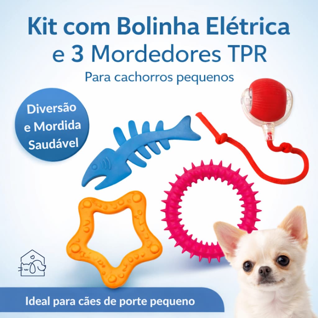 Brinquedo Interativo Pet Com Bolinha Elétrica e Mordedor Kit 4 Itens