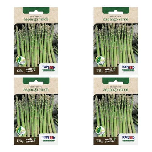 Kit Semente Aspargo Verde Imediato 4 Env 200 Sementes Hortas