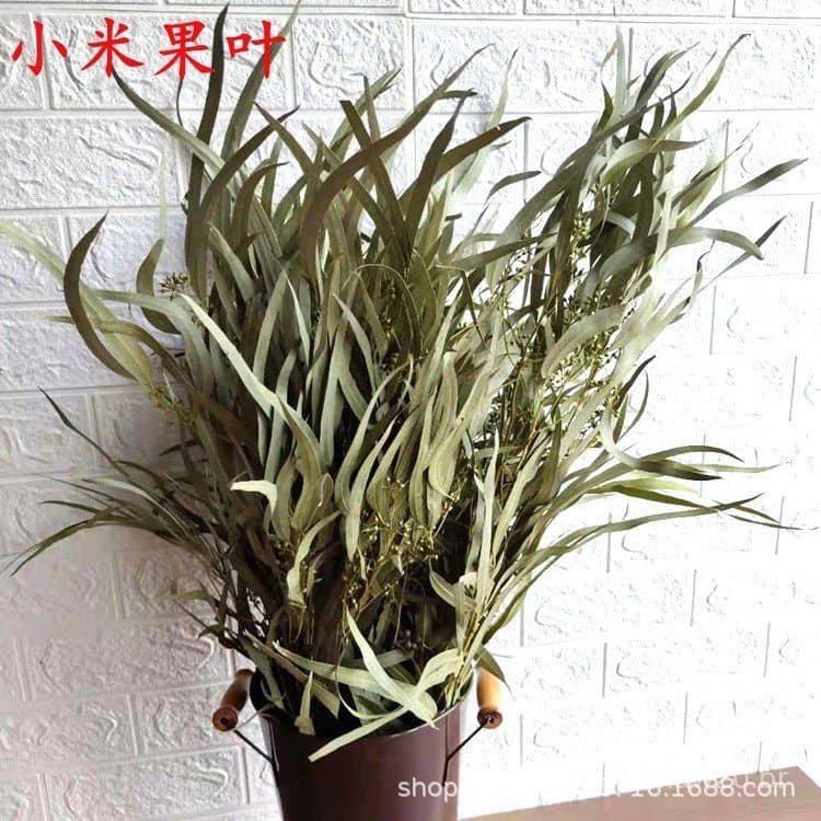 Folhas artificiais de milheto, flores de milheto secas, folhas de eucalipto, folhas de salgueiro, flores secas para deco