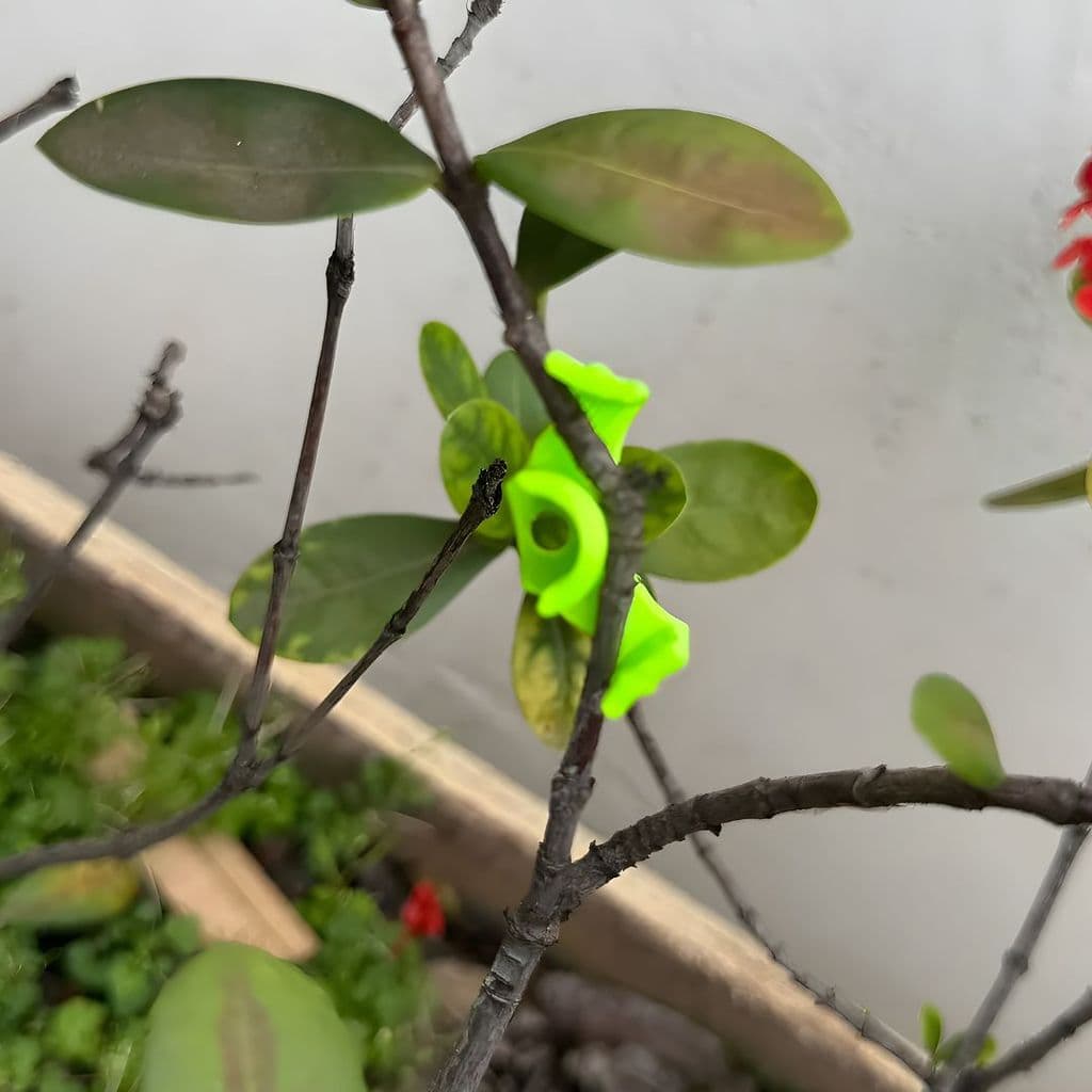 Kit 15 Budclip LST treinamento low stress cultivo ornamental