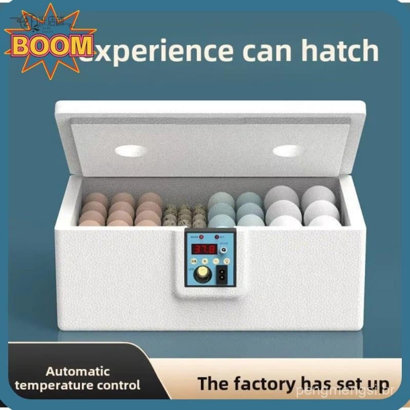 Incubadora Automática BOOM 24h - Incubadora para Pequenas Aves, Termostato Digital com Viragem Automática AYME