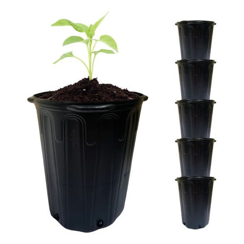 Vaso Embalagem Com alça Para mudas Preto Nutriplan 21l