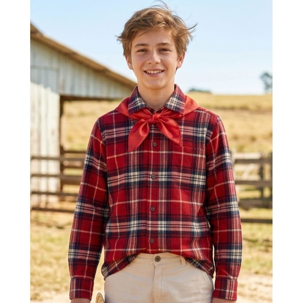 Camisa Franelada Xadrez Festa Junina Caipira Roça Festa de Peão Infantil Juvenil Cores - 1748