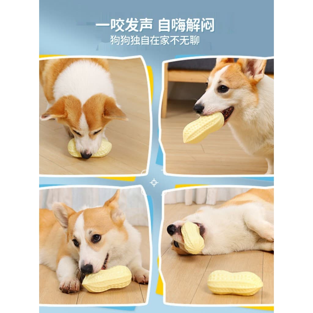 Cão de estimação soando brinquedo vinil amendoim aliviar o tédio ferramenta útil Molar mordida resistente Corgi Shiba In