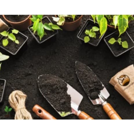 Terra Preta Adubada para Plantas – Solo Nutriente para Horta e Jardim – Fertilizante Orgânico