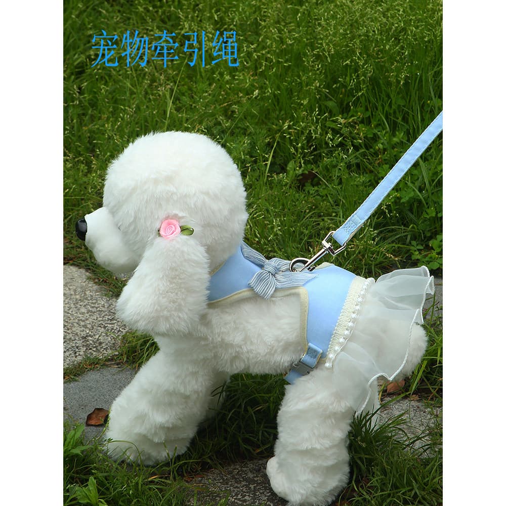 Coleira para cães de estimação, coleira pequena para cães e gatos, estilo Teddy Bichon, Anti-quebra, coleira para caminh