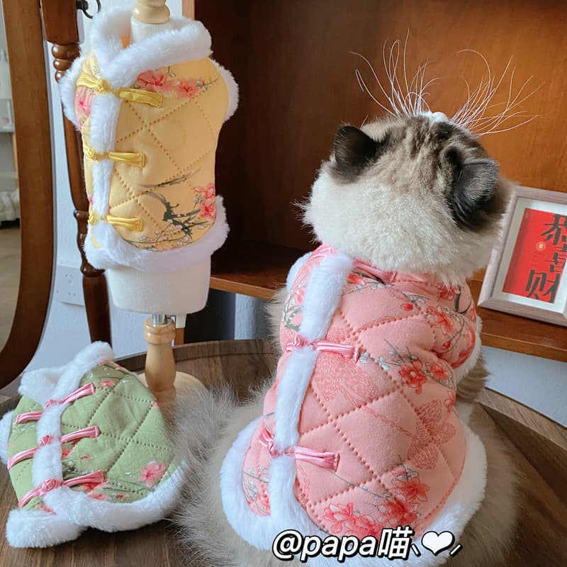 Animais de estimação gatos cães roupas de ano novo inverno engrossado flores quentes estilo chinês fivela algodão-acolch