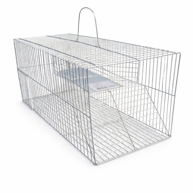 Gaiola Para Captura de Roedores Ratos e Camundongos Fundo Falso