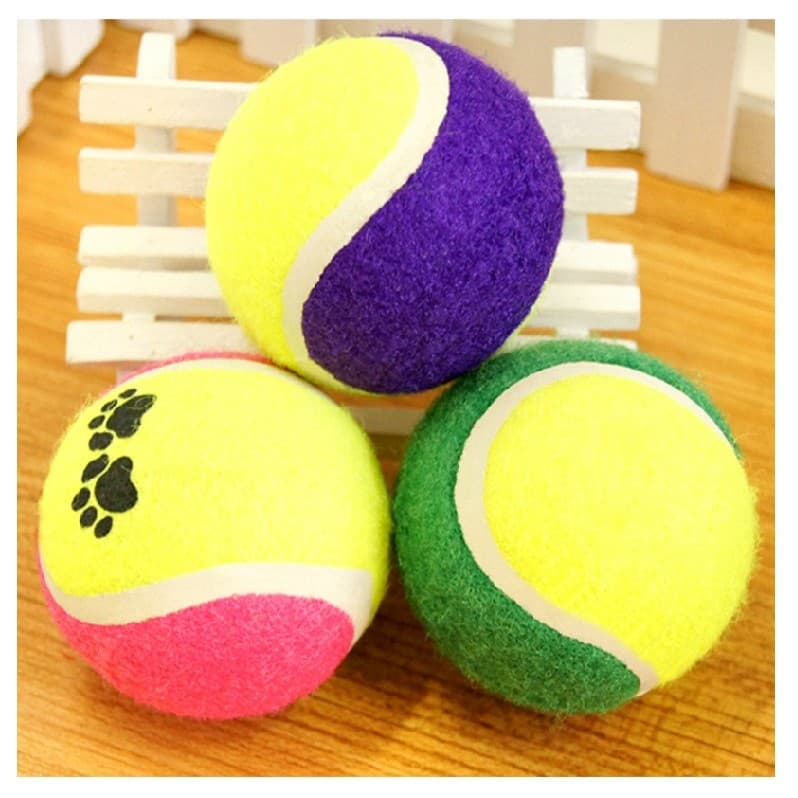 Bola de brinquedo para cães, brinquedo para animais de estimação, Golden Retriever, suprimentos de treinamento para cães