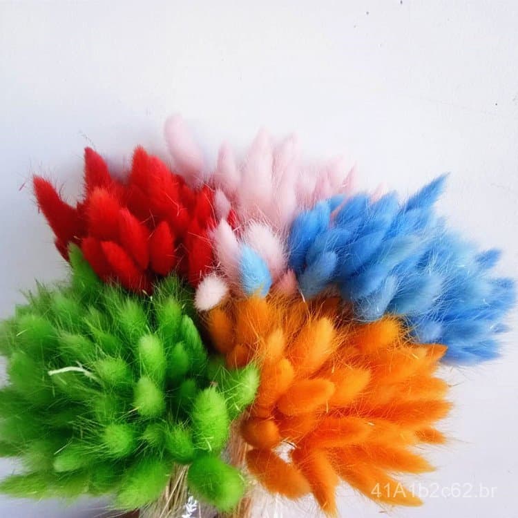 Ornamento de decoração para casa em forma de cauda de coelho, flores naturalmente secas, flores reais em estilo campestr