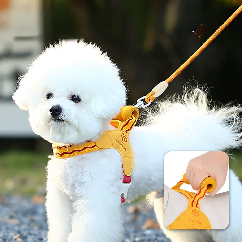 Coleira para Cães Pequenos em Forma de Y, Cinta Peitoral para Filhotes Shiba Inu, Coleira para Animais de Estimação em C