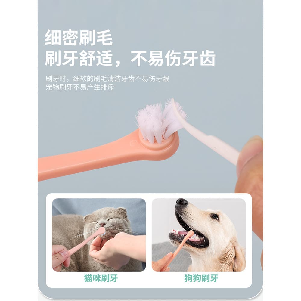 Escova de dentes para animais de estimação, gato, cachorro, gato, conjunto especial de escova de dentes, remoção de mau