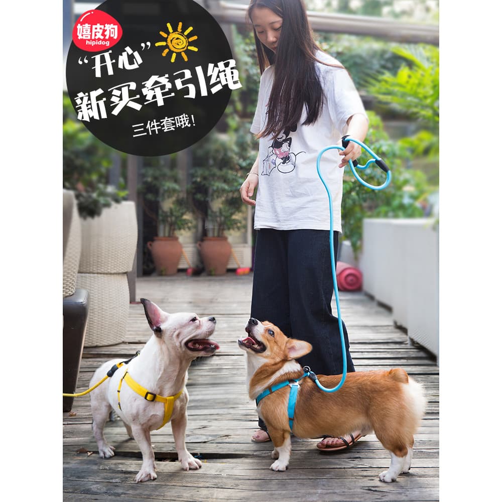 Coleira para caminhada de cachorro, coleira para caminhada de cachorro, corrente para caminhada, parafuso, coleira para