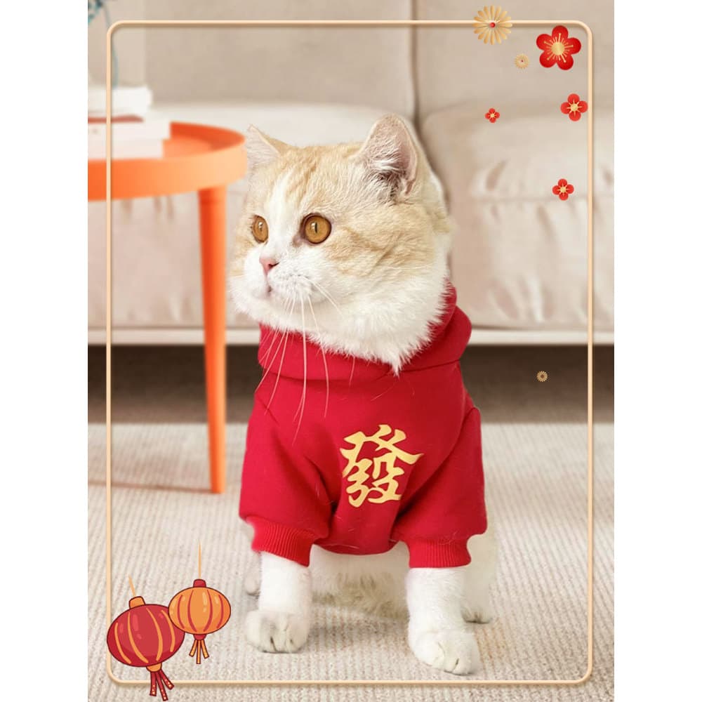 Roupas de gato para animais de estimação roupas de ano novo roupas de ano novo roupas de ano novo roupas de outono inver