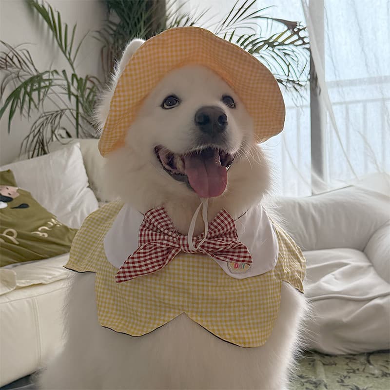 Chapéu Bonito Para Cachorro Grande , Proteção Solar Animais De Estimação , De Sol , Orelhas De Golden Retriever Balde De