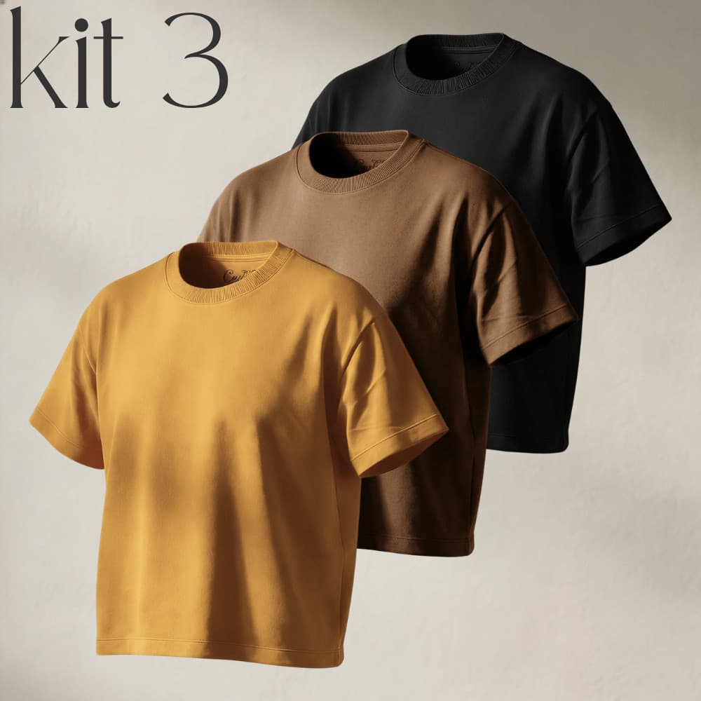 Kit 3 Camisetas Feminina Linhas Premium Básicas, Confortáveis 100% Algodão Promoção