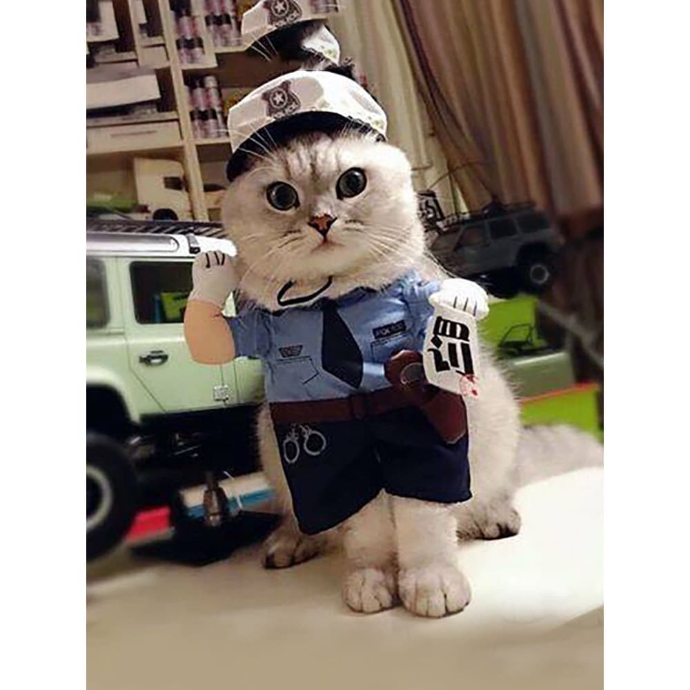 Roupas de gato roupas de transformação roupas engraçadas roupas de gato roupas verticais de duas pernas adesivos de polí
