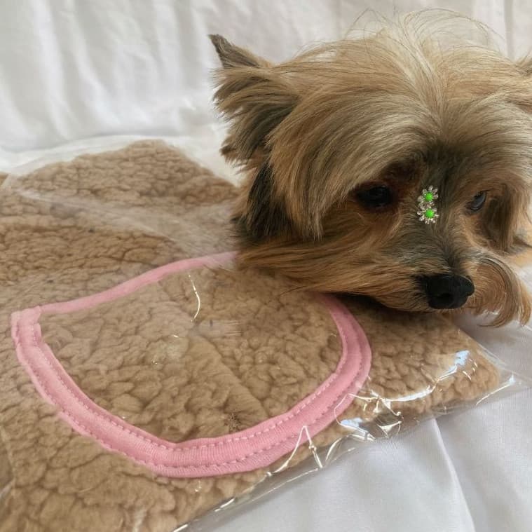 ROUPA PARA PET. A roupa para cachorro feita com tecido sherpa é a escolha ideal para manter seu pet confortávelL.