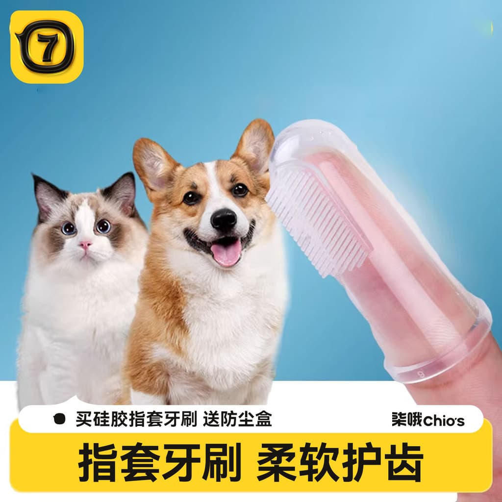 Gato dedicado cão dedo conjunto escova de dentes escovação ferramenta útil conjunto pasta de dentes Teddy pequeno cão li