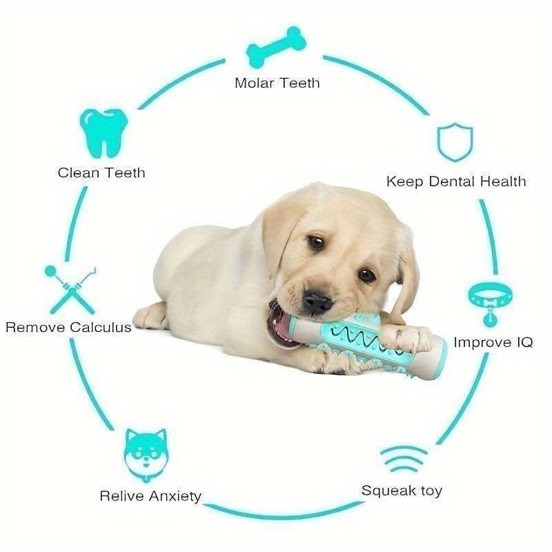 Brinquedo Amargo Para Modelo De Osso De Saúde Dentária De Cachorro