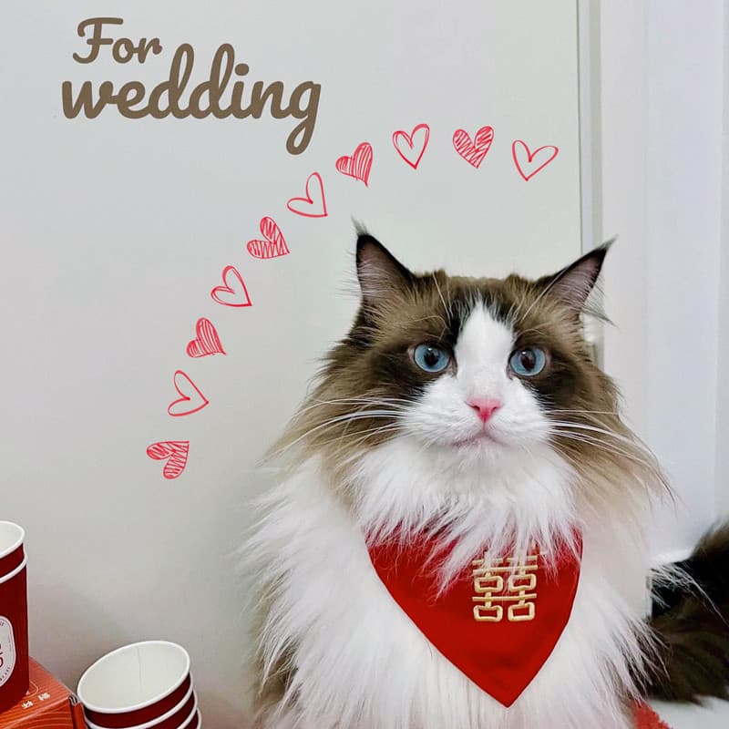 Gato casamento palavra feliz Saliva toalha babador acessórios cão participação casamento roupas vermelhas festivo triâng