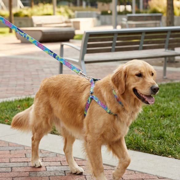 Peitoral para Cães Ajustável com Guia 1,2m – Conforto e Controle no Passeio