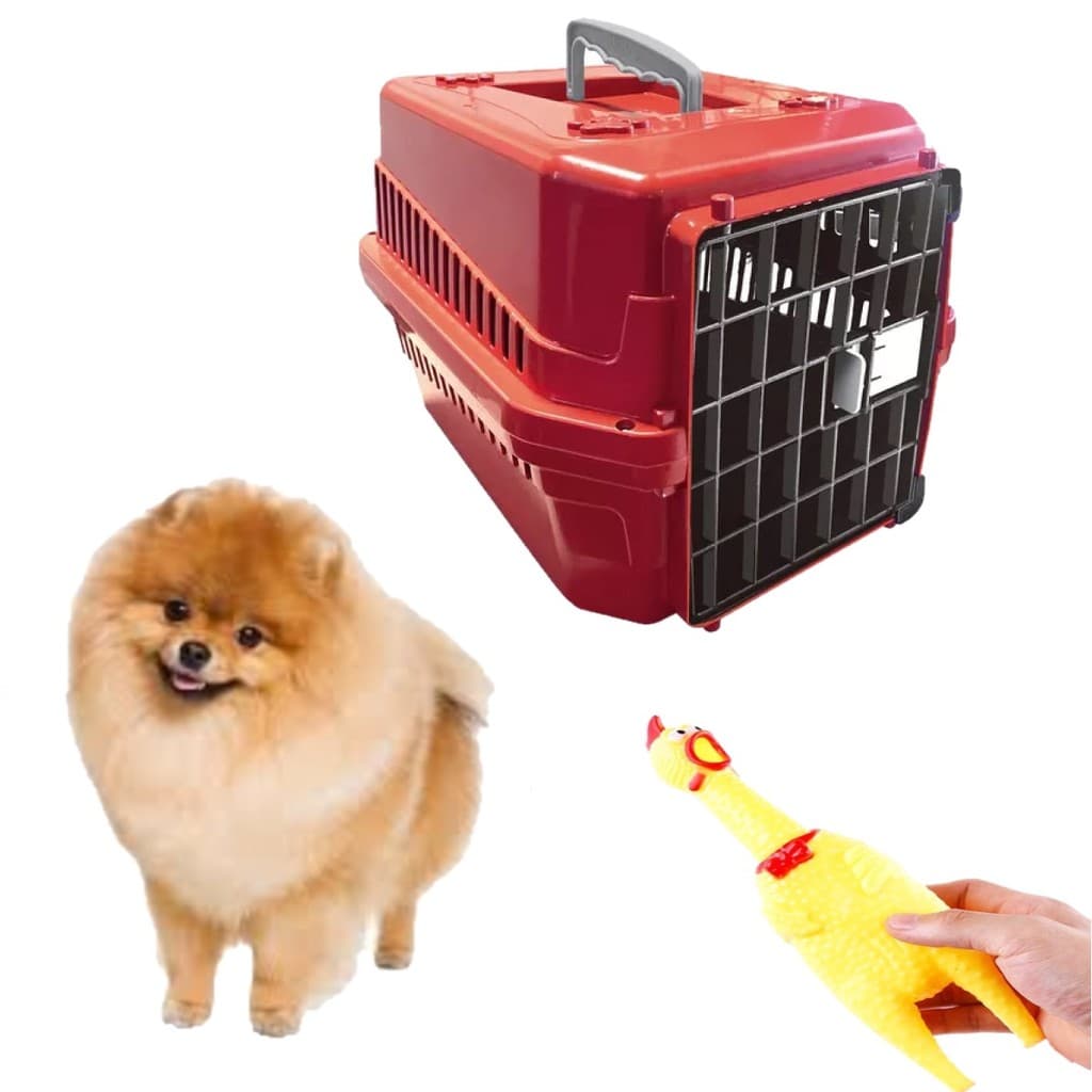 Mordedor Galinha Pet Interativo + Caixa Transporte Pet N1
