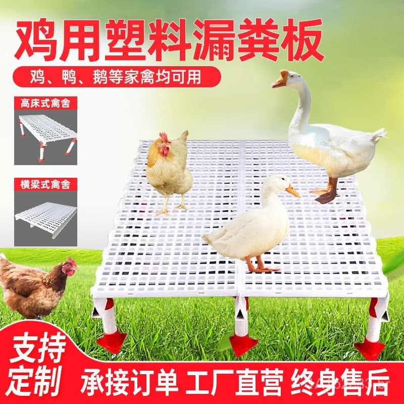 Placa de plástico para drenagem de esterco para galinhas, grelha de drenagem de esterco para galinheiros, patos, gansos