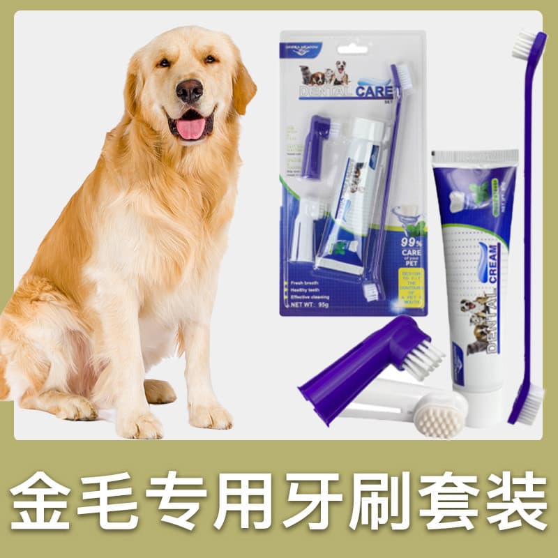 Golden Retriever cão conjunto de escova de dentes especial filhote de cachorro Pet pasta de dentes escovação ferramentas