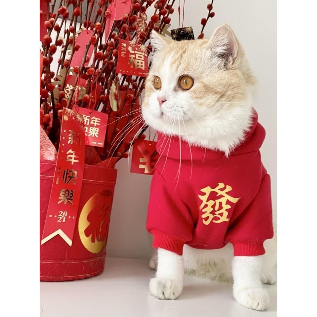 Gato roupas de gato outono inverno roupas de ano novo roupas de ano novo roupas de ano novo cão roupas para animais de e